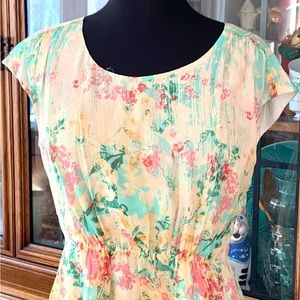 NWT Sundance Catalog Blossoms Immortelle Silk Chiffon Tea Dress Sz 6 $188